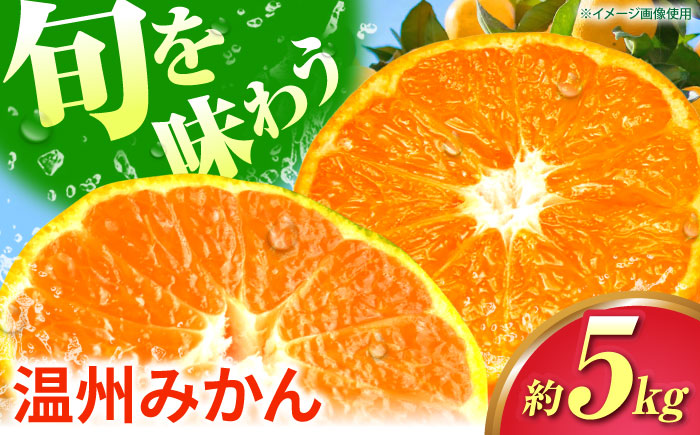 温州みかん 5kg 極早生 早生 中生 晩生 みかん 【池田農園】 [ZEX004]