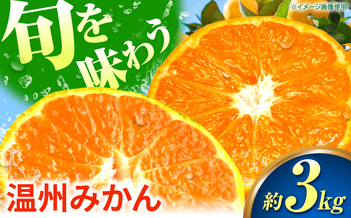 温州みかん 3kg 極早生 早生 中生 晩生 みかん 【池田農園】 [ZEX005]