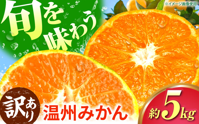 【訳あり】 温州みかん 5kg 極早生 早生 中生 晩生 みかん 【池田農園】 [ZEX006]