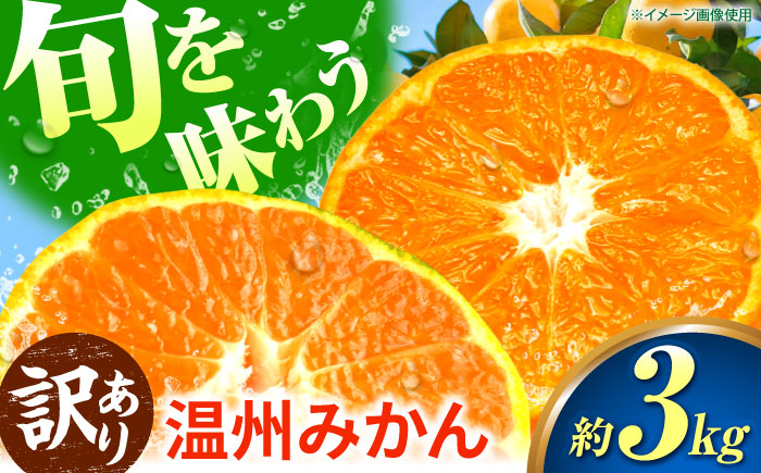 【訳あり】 温州みかん 3kg 極早生 早生 中生 晩生 みかん 【池田農園】 [ZEX007]
