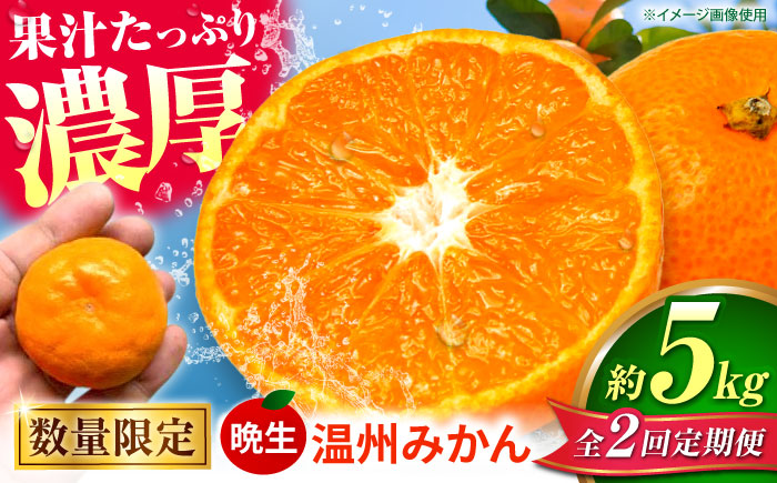 【先行予約】【全2回定期便】 晩生 温州みかん 約5kg みかん 【池田農園】 [ZEX008]