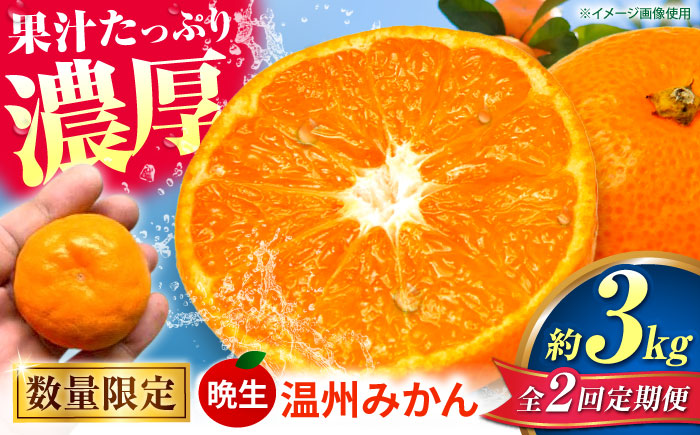 【先行予約】【全2回定期便】 晩生 温州みかん 約3kg みかん 【池田農園】 [ZEX009]