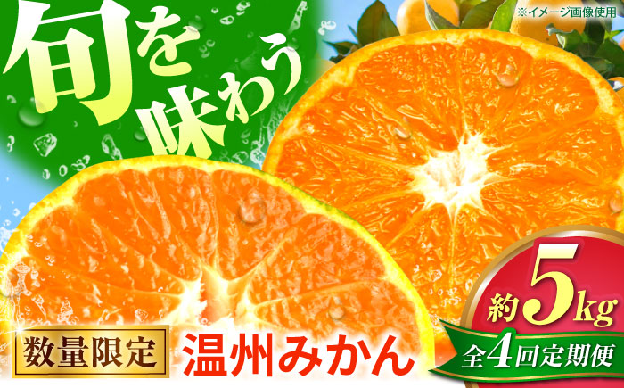 【先行予約】【全4回定期便】 温州みかん 5kg 極早生 早生 中生 晩生 みかん 【池田農園】 [ZEX010]