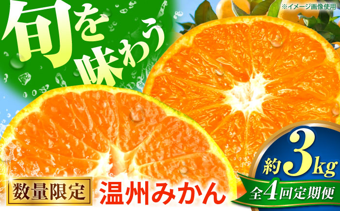 【先行予約】【全4回定期便】 温州みかん 3kg 極早生 早生 中生 晩生 みかん 【池田農園】 [ZEX011]