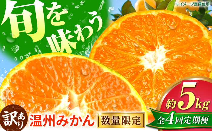 【先行予約】【全4回定期便】 訳あり 温州みかん 5kg 極早生 早生 中生 晩生 みかん 【池田農園】 [ZEX012]