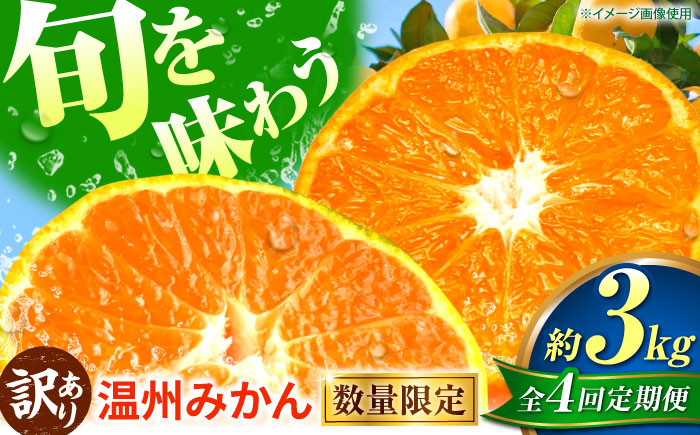 【先行予約】【全4回定期便】 訳あり 温州みかん 3kg 極早生 早生 中生 晩生 みかん 【池田農園】 [ZEX013]