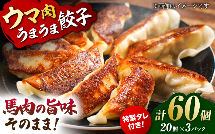 新感覚！ウマ肉うまうま餃子（20個×3パック）【オルガニコ山鹿】 [ZFH006]