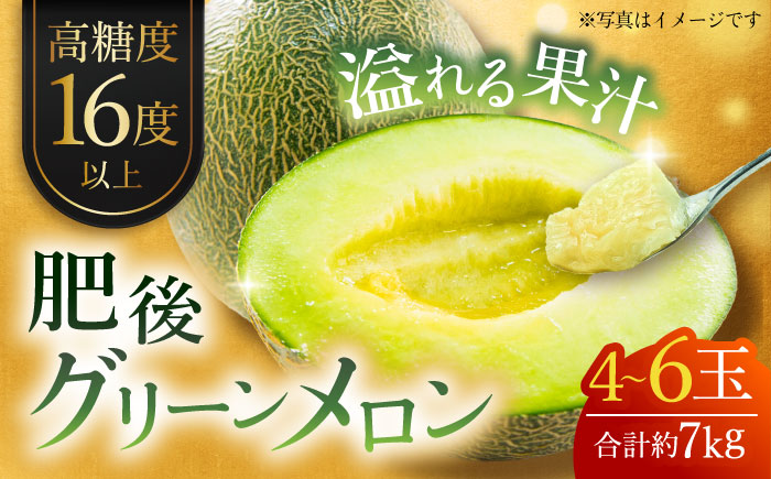 【先行予約】肥後グリーンメロン 約7kg(4～6玉入) メロン グリーンメロン フルーツ 熊本県産 【日本フルーツ株式会社】 [ZFJ006]