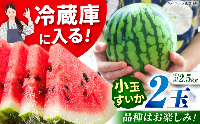 【先行予約】小玉スイカ 3L以上 2玉入り 約2.5kg 【日本フルーツ株式会社】 [ZFJ007]