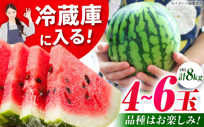 【先行予約】小玉スイカ 3L～M　4～6玉入り 約8kg 【日本フルーツ株式会社】 [ZFJ012]