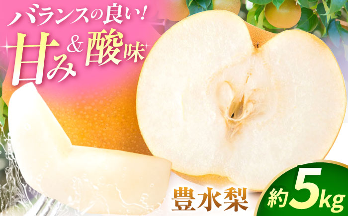 【先行予約】豊水梨　約5kg 梨 ナシ フルーツ 果物 【日本フルーツ株式会社】 [ZFJ013]