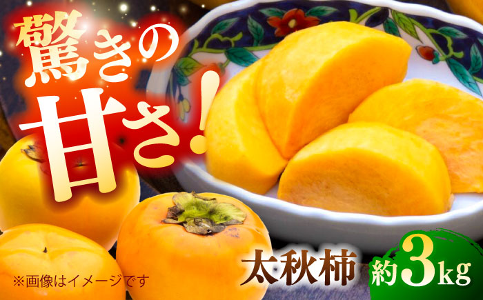 【先行予約】太秋柿 約3kg 柿 カキ フルーツ 果物 秋 【日本フルーツ株式会社】 [ZFJ020]