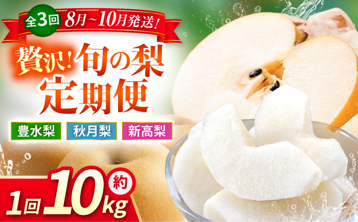 【先行予約】【3回定期便】 梨 約10kg 計約30kg（豊水・秋月・新高）  梨 ナシ フルーツ 果物 【日本フルーツ株式会社】 [ZFJ025]