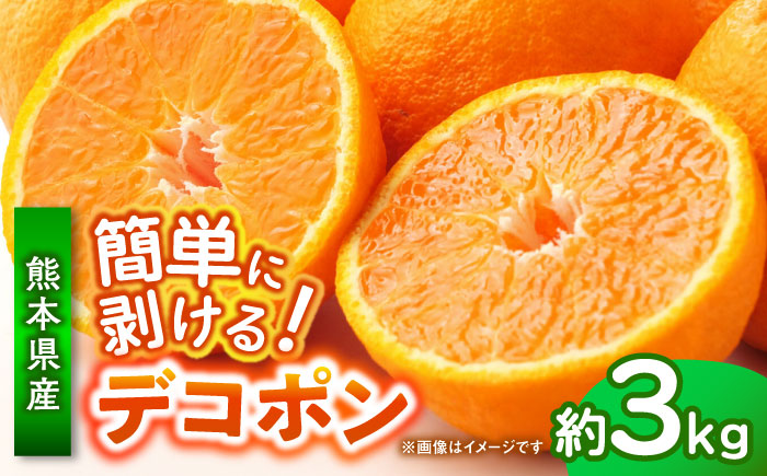 【先行予約】 デコポン　約3kg 柑橘 みかん 蜜柑 熊本 フルーツ 果物 【日本フルーツ株式会社】 [ZFJ033]