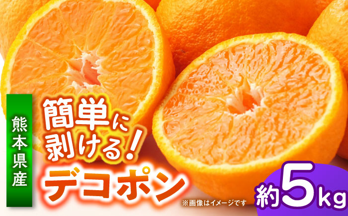 【先行予約】 デコポン　約5kg 柑橘 みかん 蜜柑 熊本 フルーツ 果物 【日本フルーツ株式会社】 [ZFJ034]