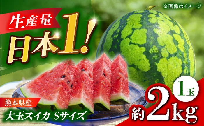 【先行予約】 大玉スイカ Sサイズ 1玉入り 約2kg  すいか 小玉 熊本 フルーツ 野菜 果物 【日本フルーツ株式会社】 [ZFJ038]