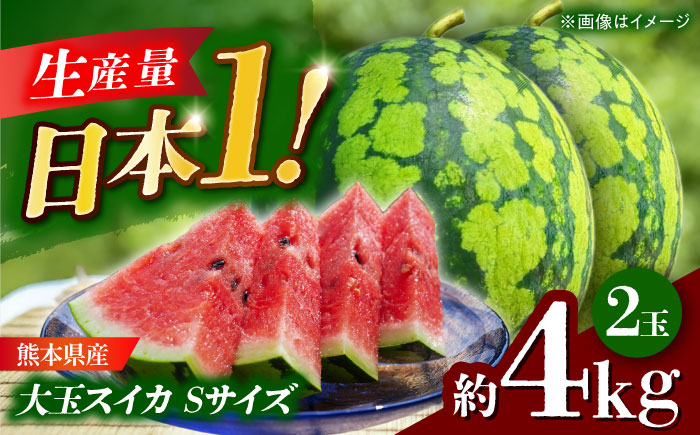 【先行予約】 大玉スイカ Sサイズ 2玉入り 約4kg  すいか 小玉 熊本 フルーツ 野菜 果物 【日本フルーツ株式会社】 [ZFJ039]