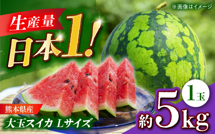 【先行予約】 大玉スイカ Lサイズ 1玉入り 約5kg すいか 大玉 熊本 フルーツ 野菜 果物 【日本フルーツ株式会社】 [ZFJ045]