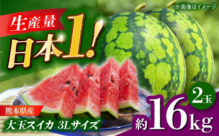 【先行予約】 大玉スイカ 3Lサイズ　2玉入り 約16kg すいか 大玉 熊本 フルーツ 野菜 果物 【日本フルーツ株式会社】 [ZFJ046]