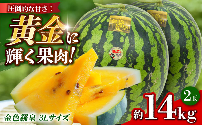 【先行予約】 金色羅皇 スイカ 3Lサイズ 2玉 約14kg すいか 黄色 熊本 フルーツ 野菜 果物 【日本フルーツ株式会社】 [ZFJ048]