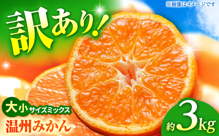 【先行予約】 温州みかん 訳あり サイズミックス 3S-3L 約3kg みかん 蜜柑 サイズ 不選別 家庭用 柑橘 フルーツ 果物 【日本フルーツ株式会社】 [ZFJ049]