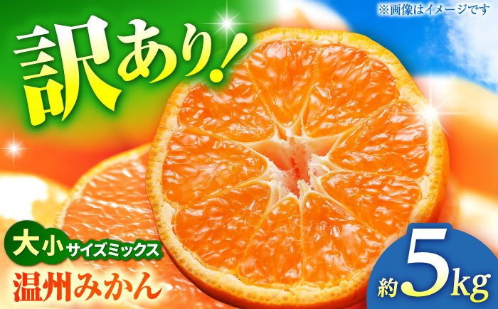 【先行予約】 温州みかん 訳あり サイズミックス 3S-3L 約5kg みかん 蜜柑 サイズ 不選別 家庭用 柑橘 フルーツ 果物 【日本フルーツ株式会社】 [ZFJ050]