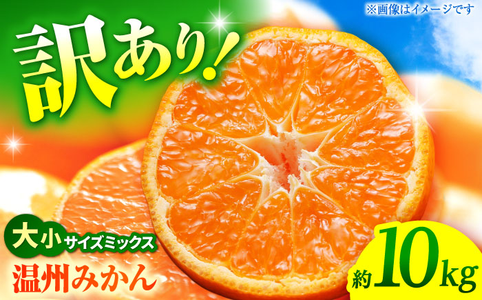 【先行予約】 温州みかん 訳あり サイズミックス 3S-3L 約10kg みかん 蜜柑 サイズ 不選別 家庭用 柑橘 フルーツ 果物 【日本フルーツ株式会社】 [ZFJ051]