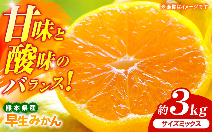 【先行予約】 早生みかん 2S-2L 約3kg みかん 蜜柑 柑橘 フルーツ 果物 【日本フルーツ株式会社】 [ZFJ056]