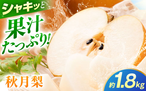 【先行予約】秋月梨　約1.8kg 梨 ナシ フルーツ 果物 【日本フルーツ株式会社】 [ZFJ061]