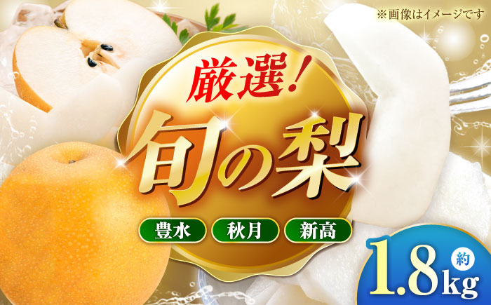 【先行予約】厳選おまかせ梨 約1.8kg 梨 豊水梨 秋月梨 新高梨 果物 フルーツ 【日本フルーツ株式会社】 [ZFJ065]