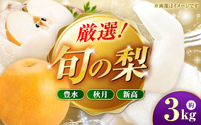 【先行予約】厳選おまかせ梨 約3kg 梨 豊水梨 秋月梨 新高梨 果物 フルーツ 【日本フルーツ株式会社】 [ZFJ066]