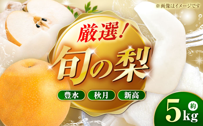 【先行予約】厳選おまかせ梨 約5kg 梨 豊水梨 秋月梨 新高梨 果物 フルーツ 【日本フルーツ株式会社】 [ZFJ067]