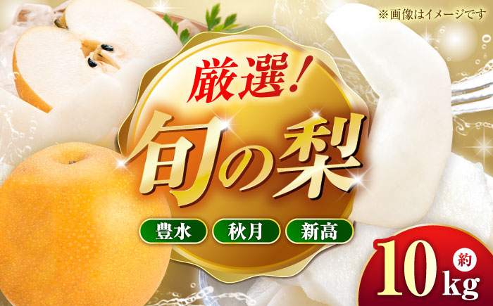 【先行予約】厳選おまかせ梨 約10kg 梨 豊水梨 秋月梨 新高梨 果物 フルーツ 【日本フルーツ株式会社】 [ZFJ068]