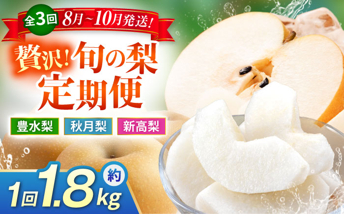 【先行予約】【3回定期便】 梨 約1.8kg 計約5.4kg（豊水・秋月・新高）  梨 ナシ フルーツ 果物 【日本フルーツ株式会社】 [ZFJ069]