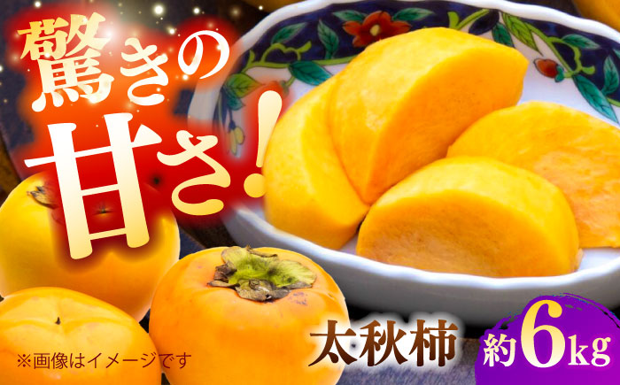 【先行予約】太秋柿 約6kg 柿 カキ フルーツ 果物 秋 【日本フルーツ株式会社】 [ZFJ071]