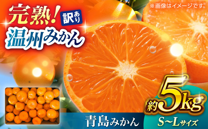 【訳あり】 温州みかん 『青島』 約5kg S～Lサイズ 【奥村果実園】 [ZFK001]