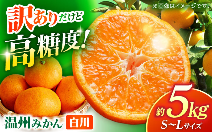 【訳あり】 温州みかん 『白川』 約5kg S～Lサイズ 【奥村果実園】 [ZFK003]