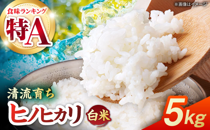 【先行予約】 令和8年度産 ヒノヒカリ 白米 5kg 【奥村果実園】 [ZFK009]