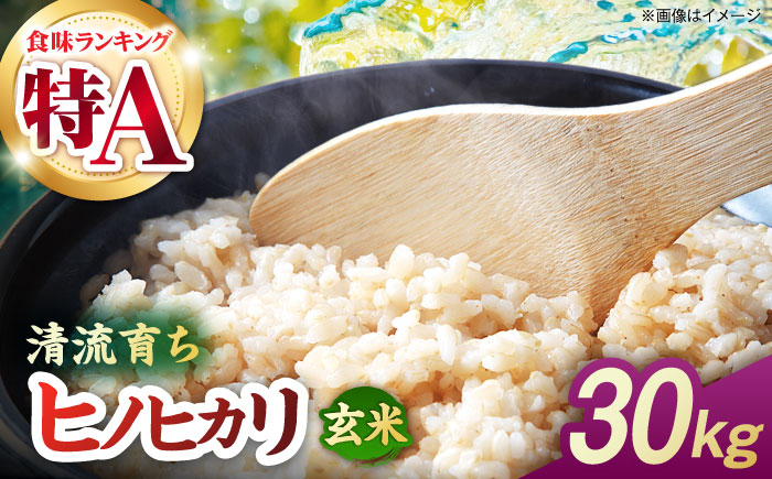 【先行予約】 令和8年度産 ヒノヒカリ 玄米 30kg 【奥村果実園】 [ZFK011]