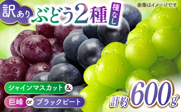 【訳あり】こば農園 種なし ぶどう 2種食べ比べセット 計約600g （ シャインマスカット & 巨峰 or ブラックビート）【合同会社 こば農園】 [ZFO004]