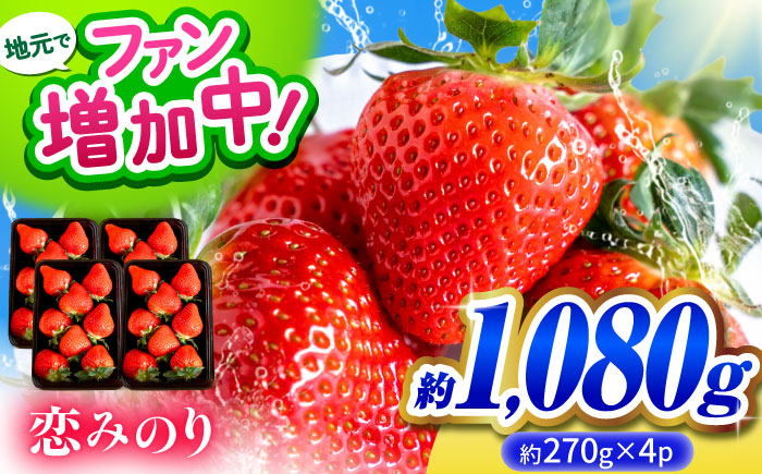 【先行予約】こば農園のこだわりいちご　恋みのり 約1080g（約270g：6~11粒×4パック） 【合同会社 こば農園】 [ZFO006]