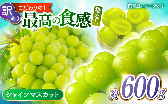 【先行予約】【訳あり】 こば農園 こだわりのシャインマスカット 約600g 【合同会社 こば農園】 [ZFO008]