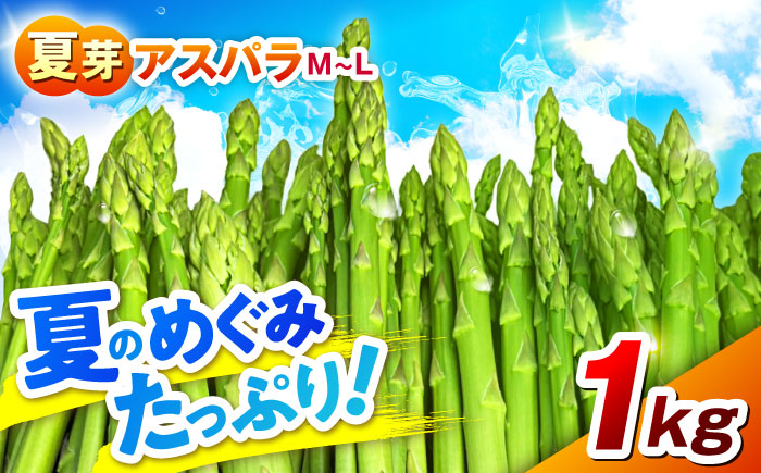 【先行予約】 山鹿市産 いけだ農園のアスパラガス 夏芽(M~Lサイズ)　約1kg【いけだ農園】 [ZFP001]