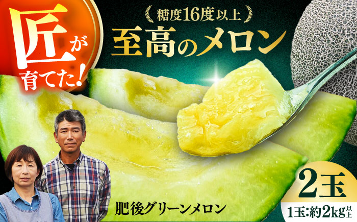 【先行予約】  山鹿の恵み! 匠の育てた　肥後グリーン メロン 約4kg以上（約2kg以上×2玉）【きもと農園】 [ZFQ001]