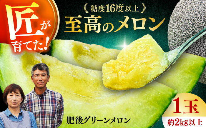 【先行予約】  山鹿の恵み! 匠の育てた　肥後グリーン メロン 約2kg以上（約2kg以上×1玉）【きもと農園】 [ZFQ002]