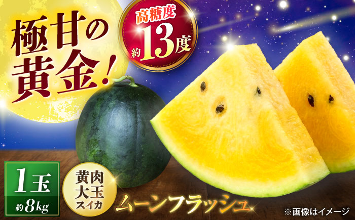 【先行予約】 山鹿の恵み! 匠の育てたムーンフラッシュ　大玉スイカ(約8kg前後×1玉)【きもと農園】 [ZFQ005]