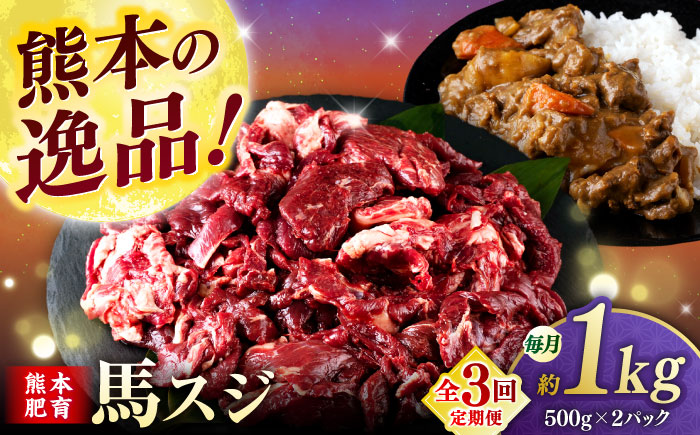 【全3回定期便】馬スジ 1kg (　500g × ２ ) 【合同会社　長岡フーズ】 [ZFR026]