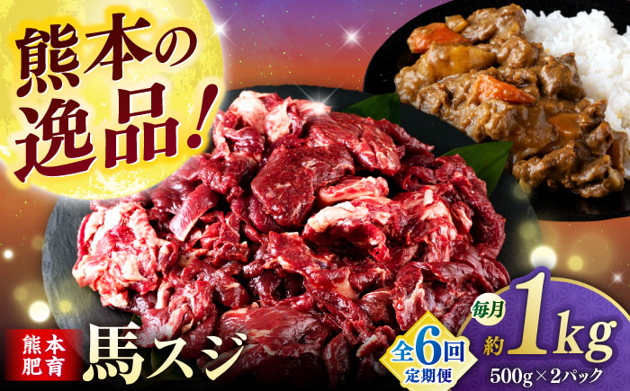 【全6回定期便】馬スジ 1kg (　500g × ２ ) 【合同会社　長岡フーズ】 [ZFR027]