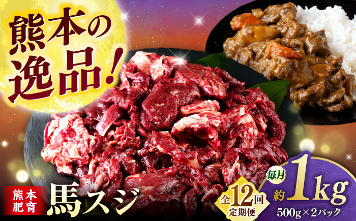 【全12回定期便】馬スジ 1kg (　500g × ２ ) 【合同会社　長岡フーズ】 [ZFR028]