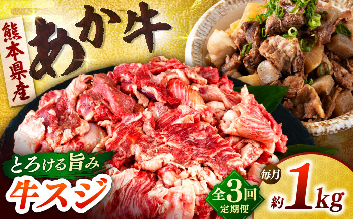 【全3回定期便】熊本あか牛スジ 1kg　 【合同会社　長岡フーズ】 [ZFR046]